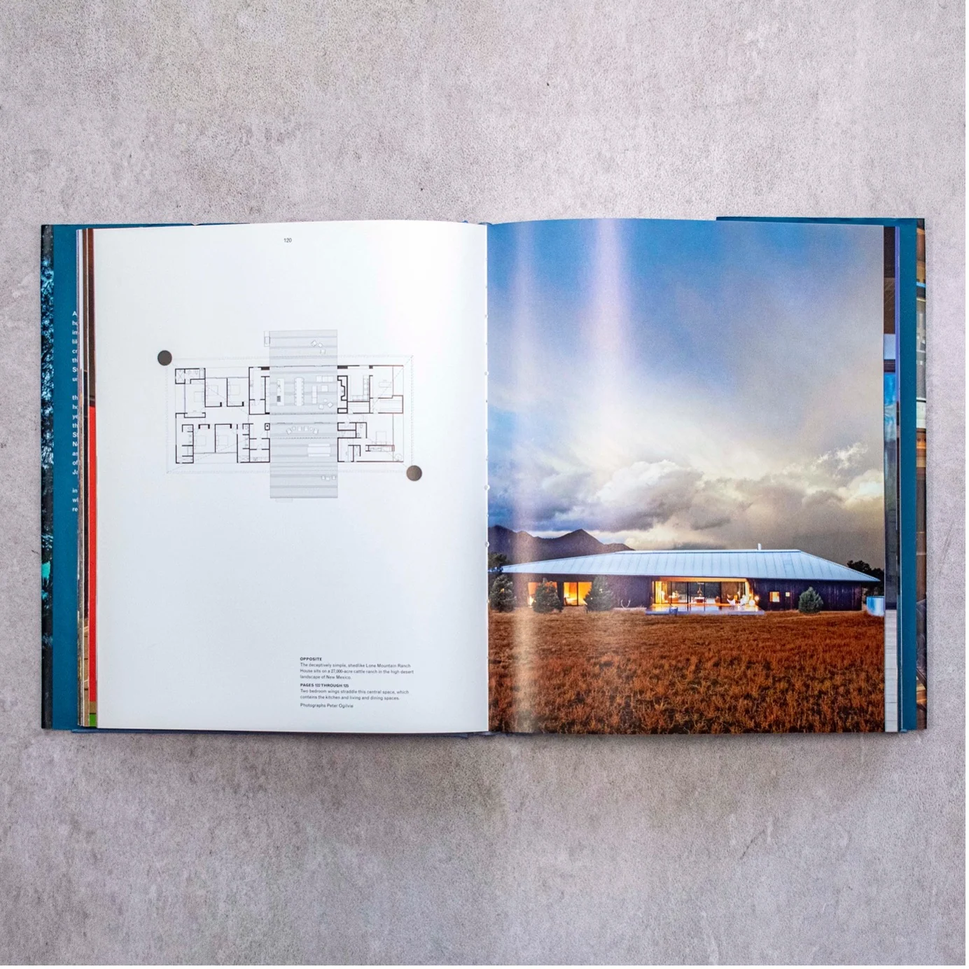 Retreat- The Modern House in Nature — Photo 4