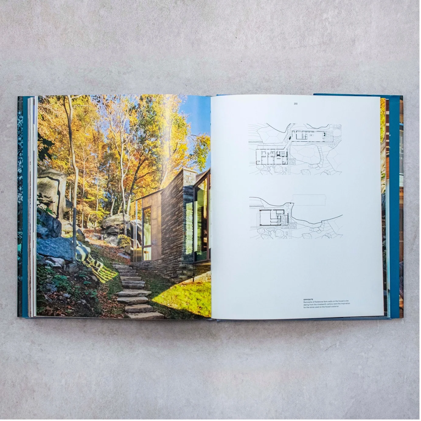 Retreat- The Modern House in Nature — Photo 6