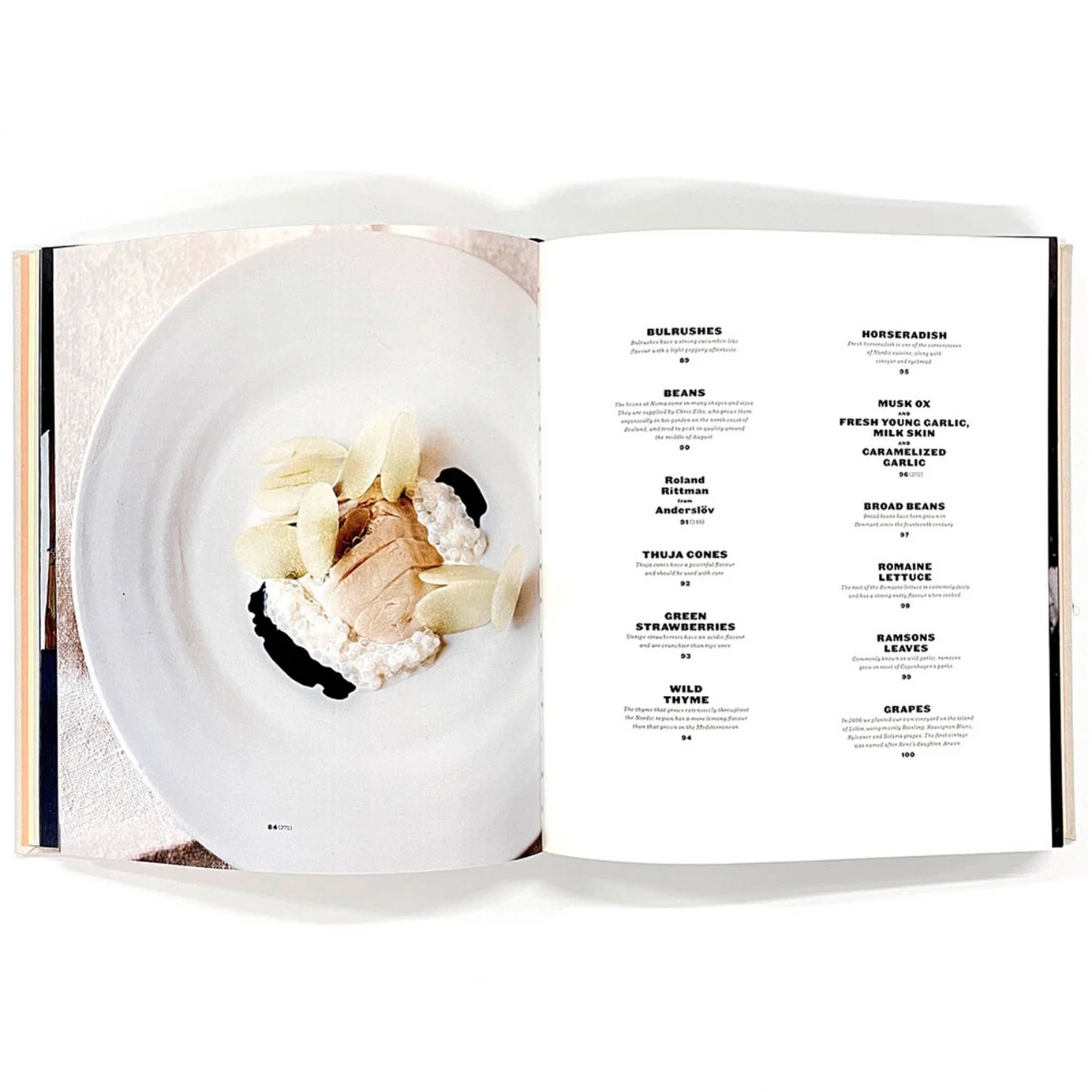 NOMA- Time and Place in Nordic Cuisine — Photo 4