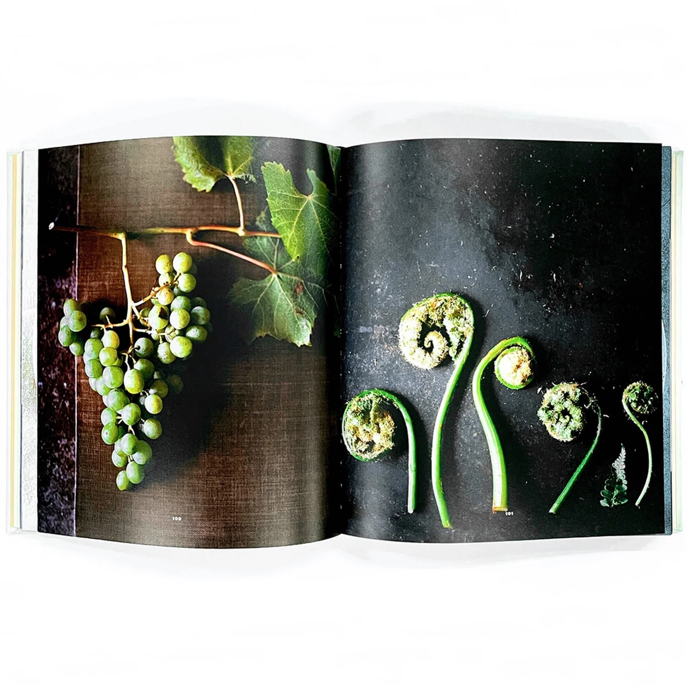 NOMA- Time and Place in Nordic Cuisine — Photo 5