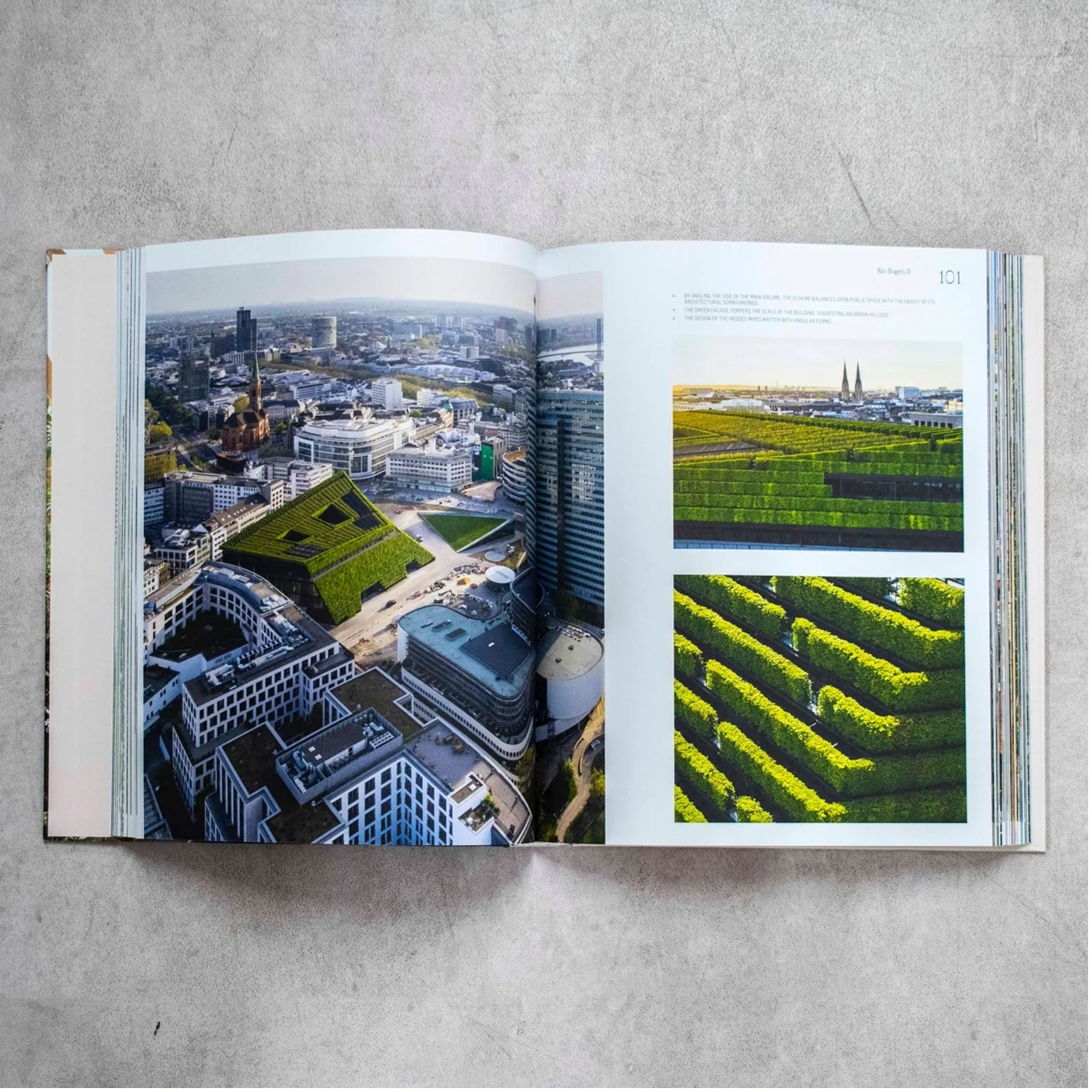 Evergreen Architecture- Overgrown Buildings and Greener Living — Photo 3