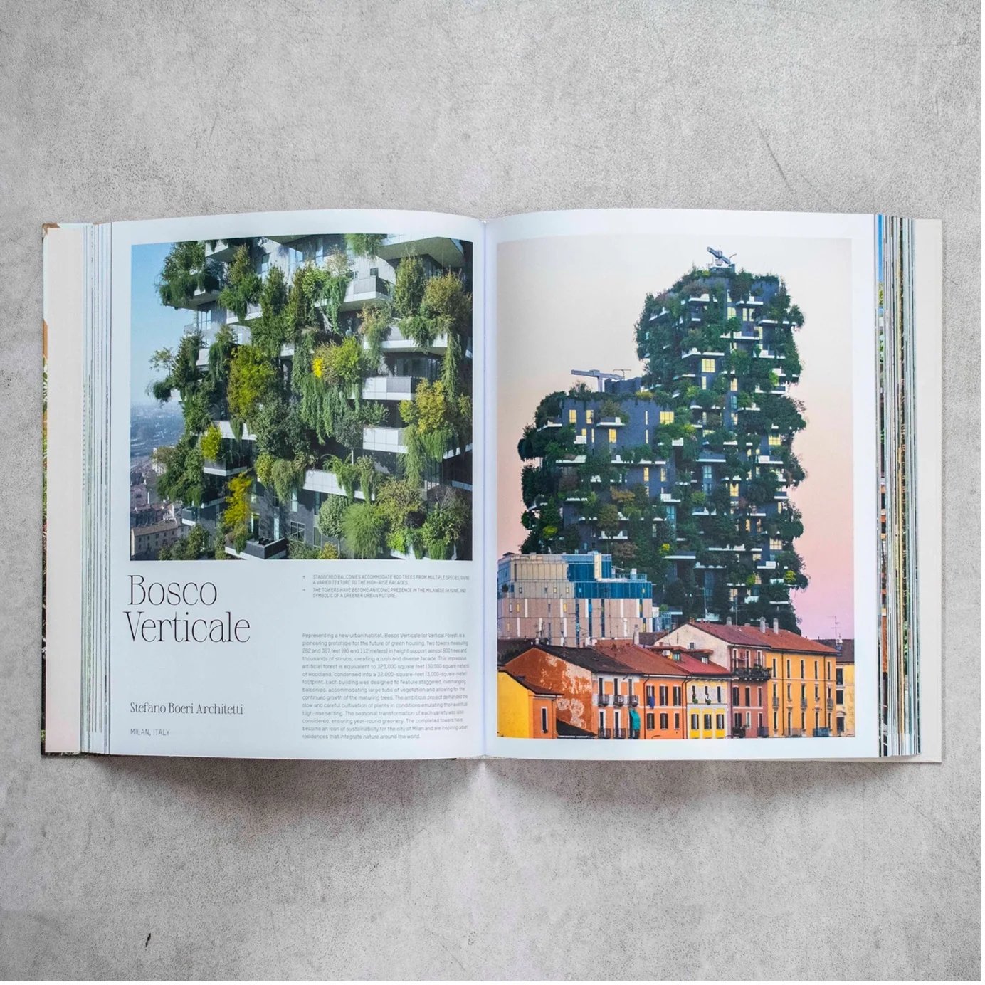 Evergreen Architecture- Overgrown Buildings and Greener Living — Photo 5