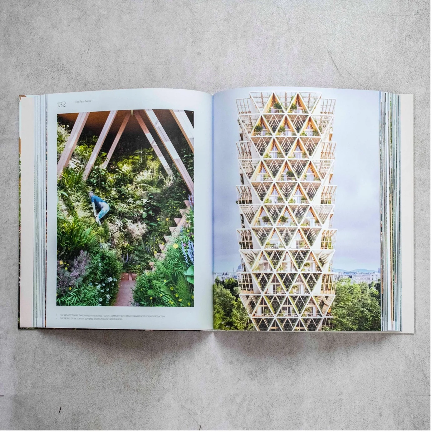 Evergreen Architecture- Overgrown Buildings and Greener Living — Photo 6