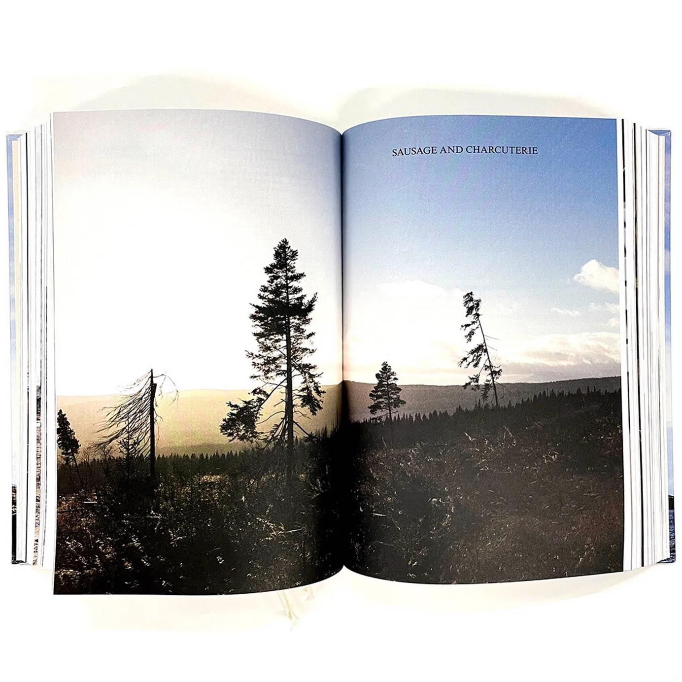 The Nordic Cookbook — Photo 6