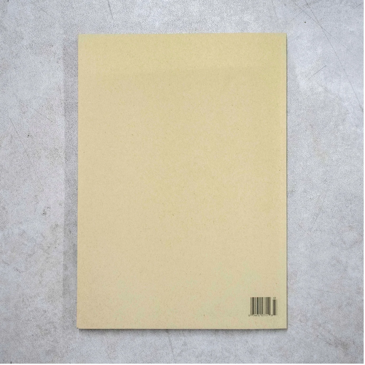 Harvard Design Magazine No.43 Shelf Life (Fall/Winter 2016) — Photo 6